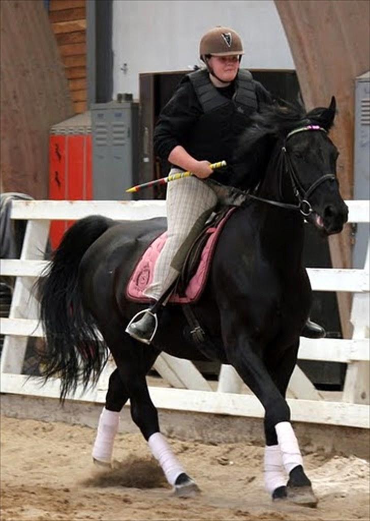 Dressur træning d. 12/6-10 på Pernille + Billeder af Penille ikk billede 13