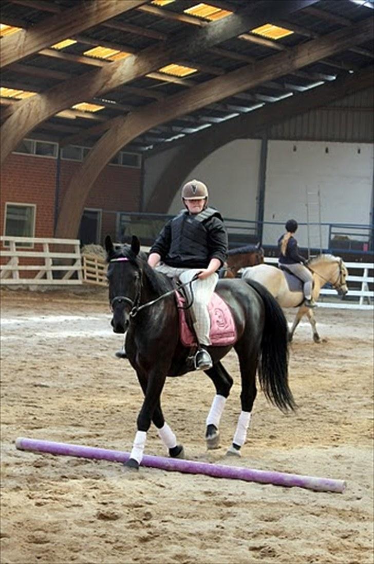 Dressur træning d. 12/6-10 på Pernille + Billeder af Penille ikk billede 14