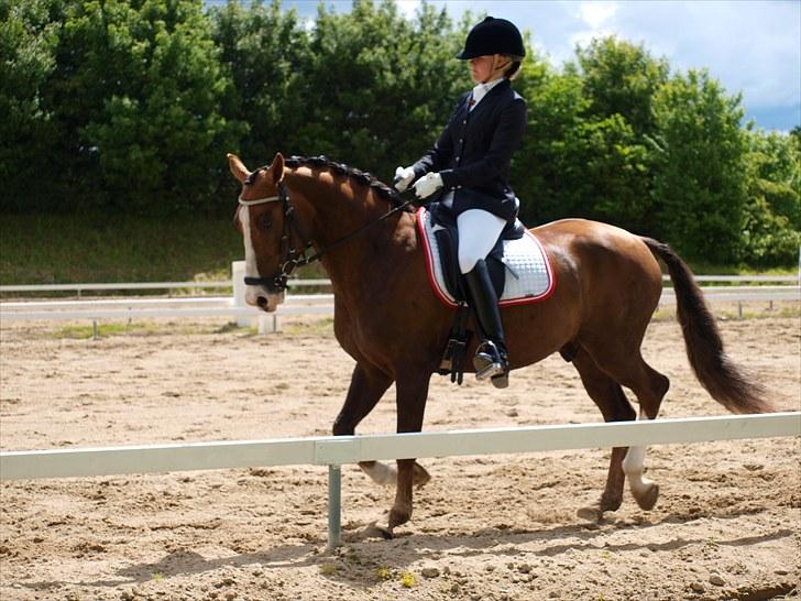 Algestrup rideklub stævne :) billede 60