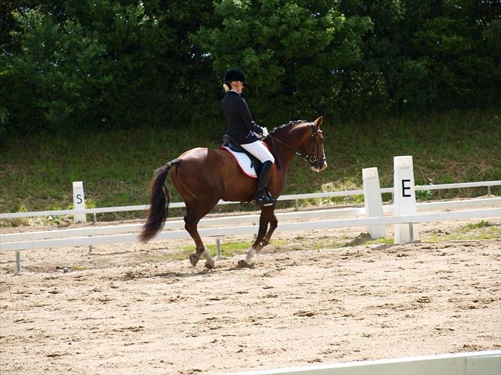 Algestrup rideklub stævne :) billede 61