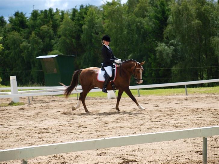 Algestrup rideklub stævne :) billede 62