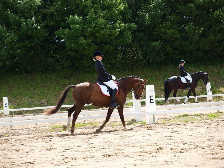 Algestrup rideklub stævne :) billede 63
