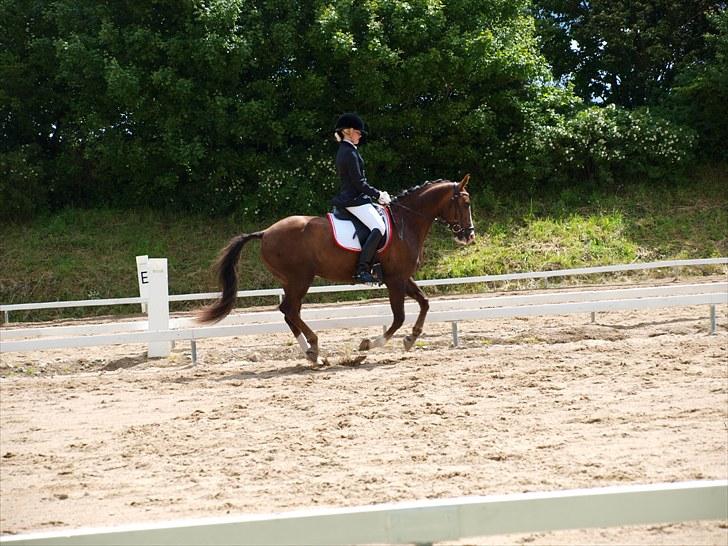 Algestrup rideklub stævne :) billede 64