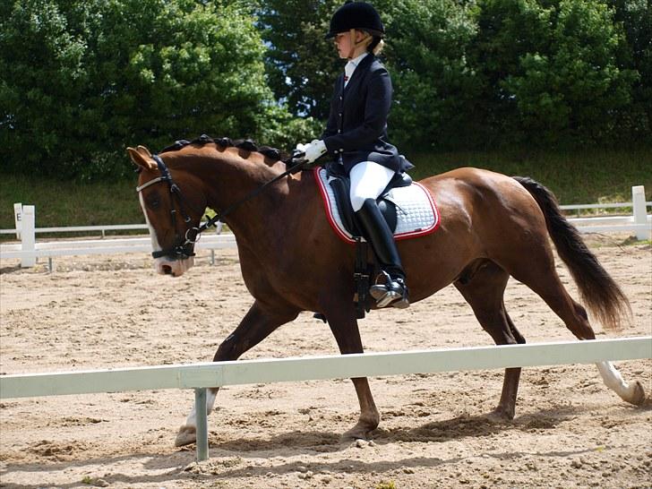 Algestrup rideklub stævne :) billede 65