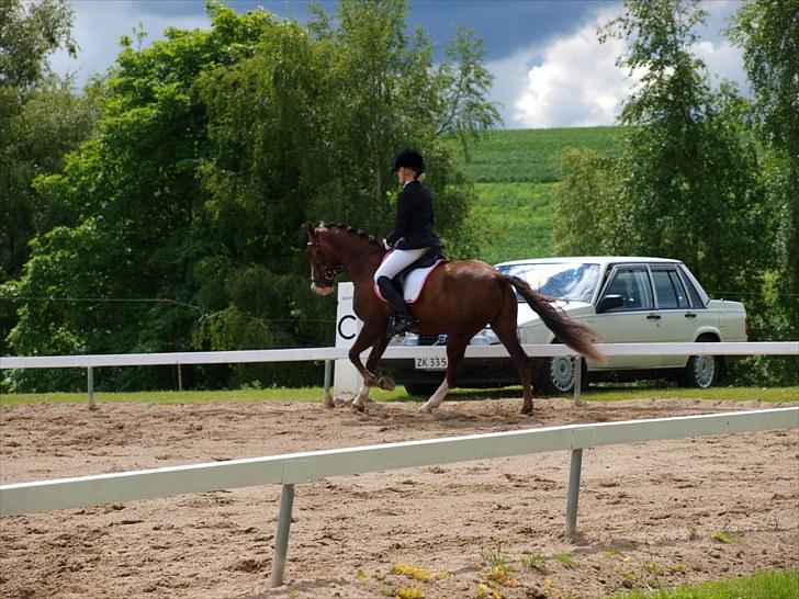 Algestrup rideklub stævne :) billede 67