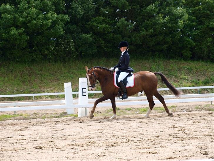 Algestrup rideklub stævne :) billede 68