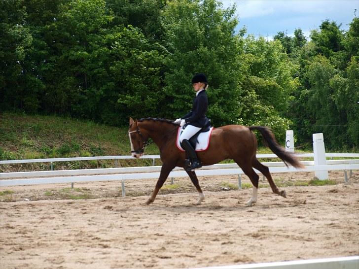 Algestrup rideklub stævne :) billede 70