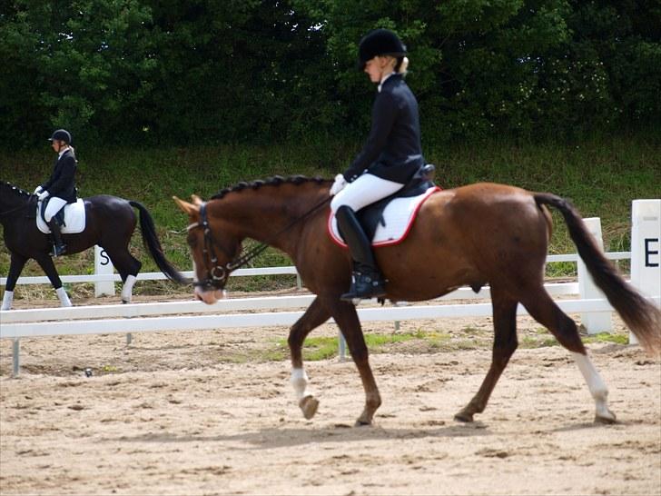 Algestrup rideklub stævne :) billede 71