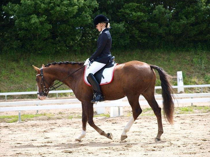 Algestrup rideklub stævne :) billede 72