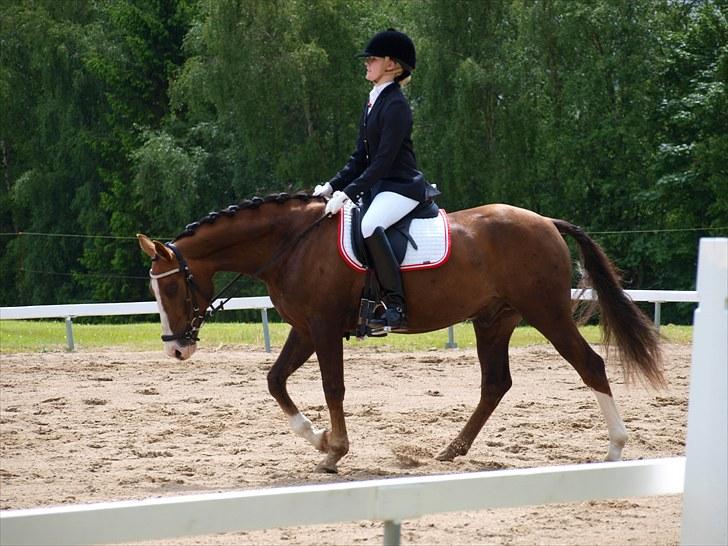 Algestrup rideklub stævne :) billede 73