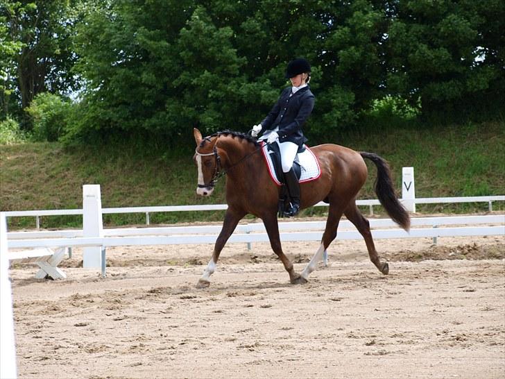 Algestrup rideklub stævne :) billede 75