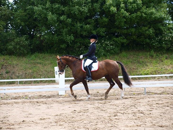 Algestrup rideklub stævne :) billede 76