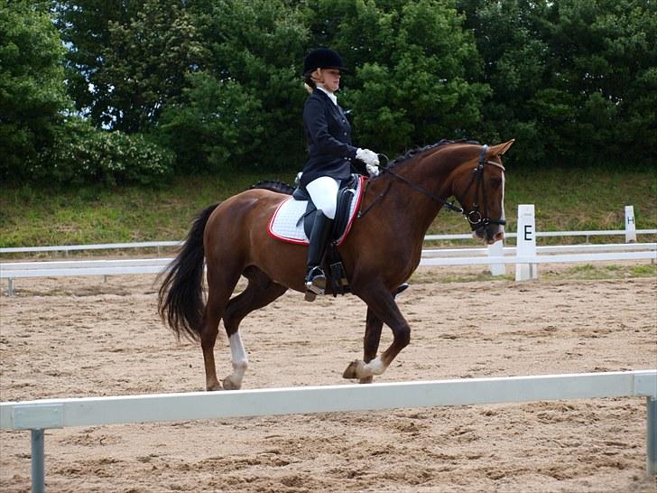 Algestrup rideklub stævne :) billede 77