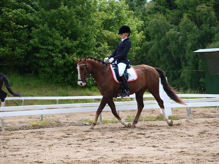 Algestrup rideklub stævne :) billede 78