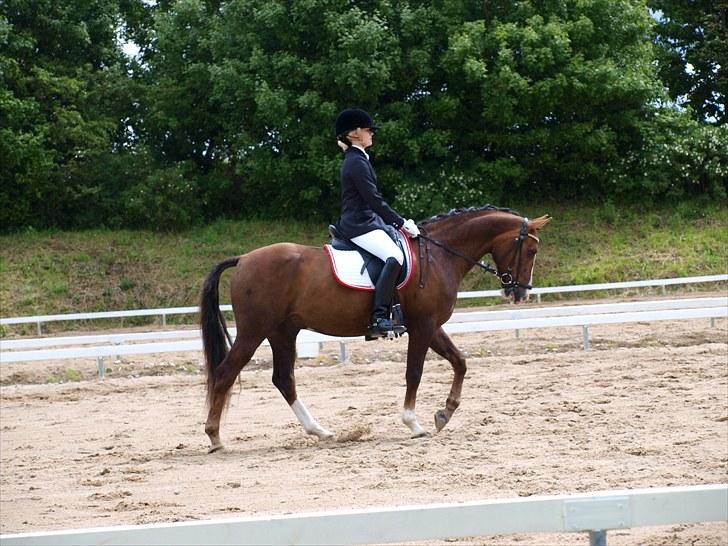 Algestrup rideklub stævne :) billede 79