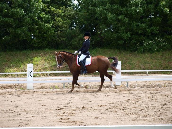 Algestrup rideklub stævne :) billede 80
