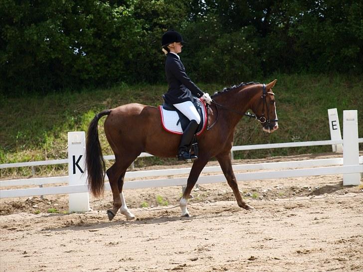 Algestrup rideklub stævne :) billede 81