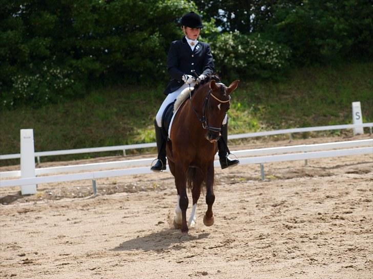 Algestrup rideklub stævne :) billede 82