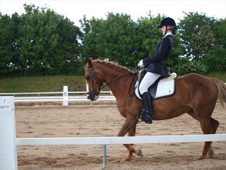 Algestrup rideklub stævne :) billede 84