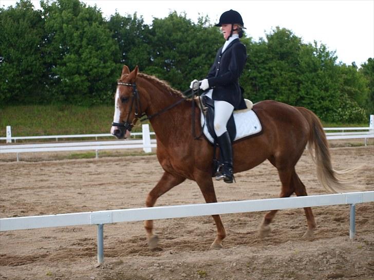 Algestrup rideklub stævne :) billede 85