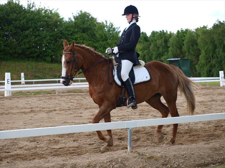 Algestrup rideklub stævne :) billede 86