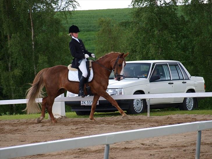 Algestrup rideklub stævne :) billede 87