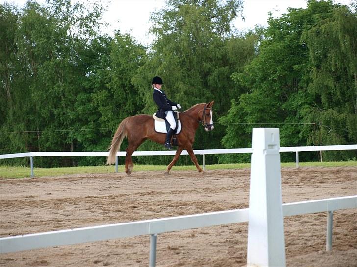 Algestrup rideklub stævne :) billede 88