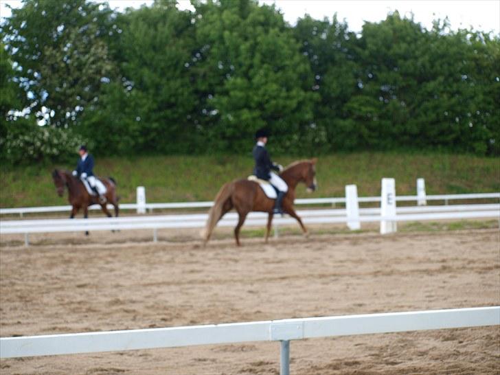 Algestrup rideklub stævne :) billede 89