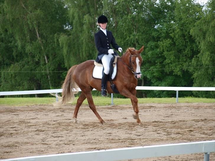 Algestrup rideklub stævne :) billede 90