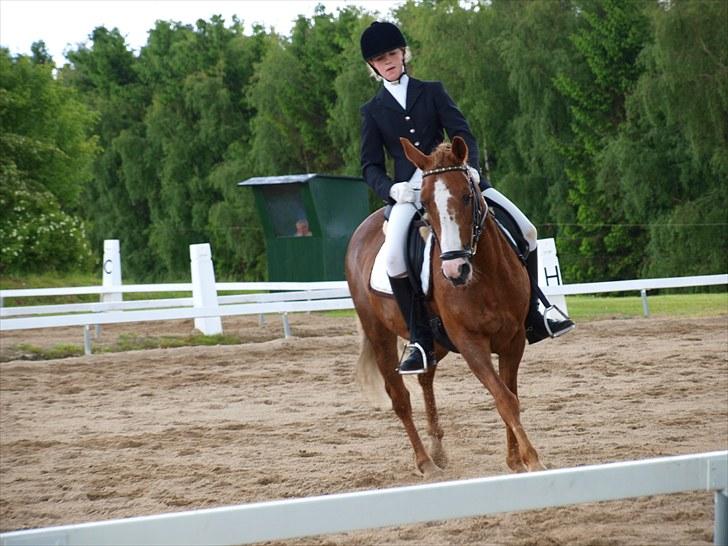 Algestrup rideklub stævne :) billede 91