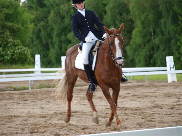 Algestrup rideklub stævne :) billede 92