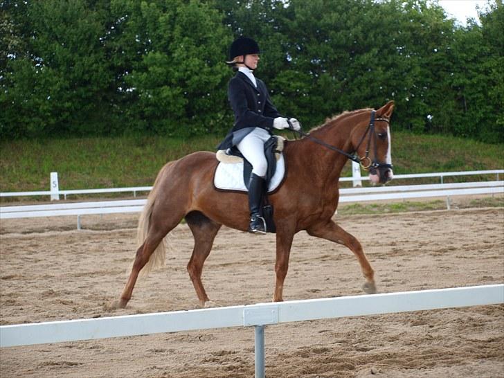 Algestrup rideklub stævne :) billede 93