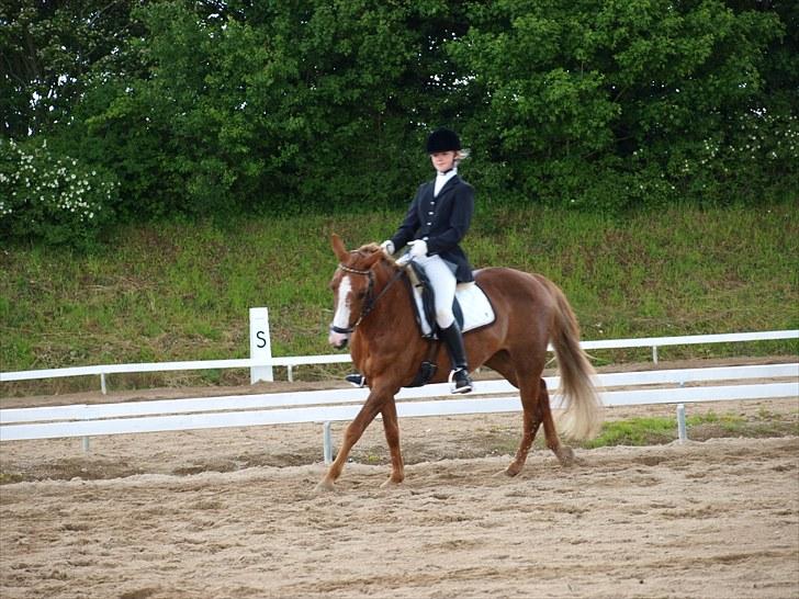 Algestrup rideklub stævne :) billede 94