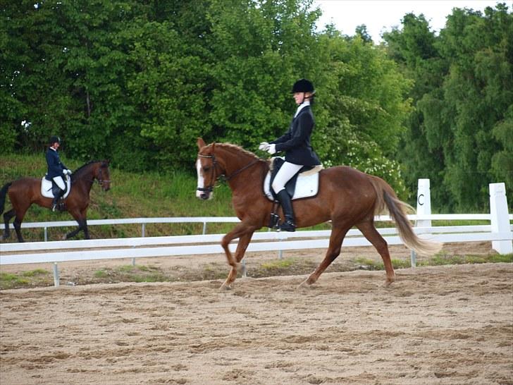 Algestrup rideklub stævne :) billede 96