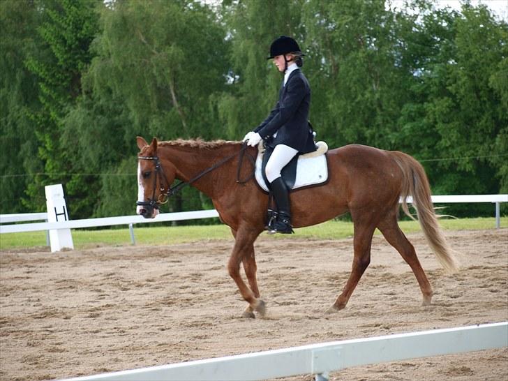 Algestrup rideklub stævne :) billede 99