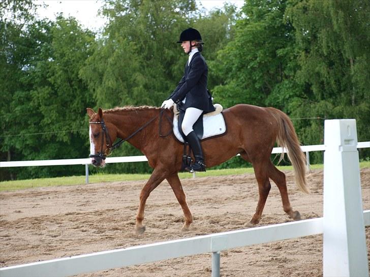 Algestrup rideklub stævne :) billede 100