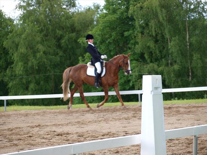 Algestrup rideklub stævne :) billede 101