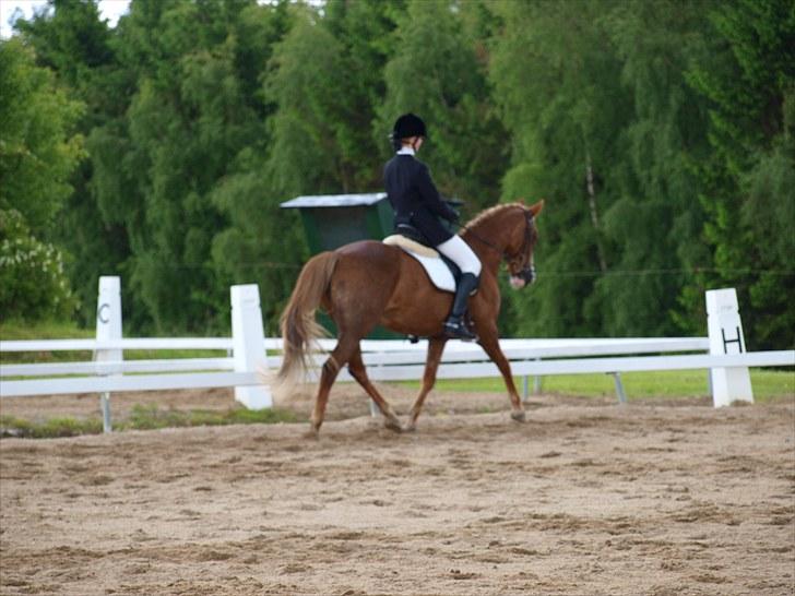 Algestrup rideklub stævne :) billede 102