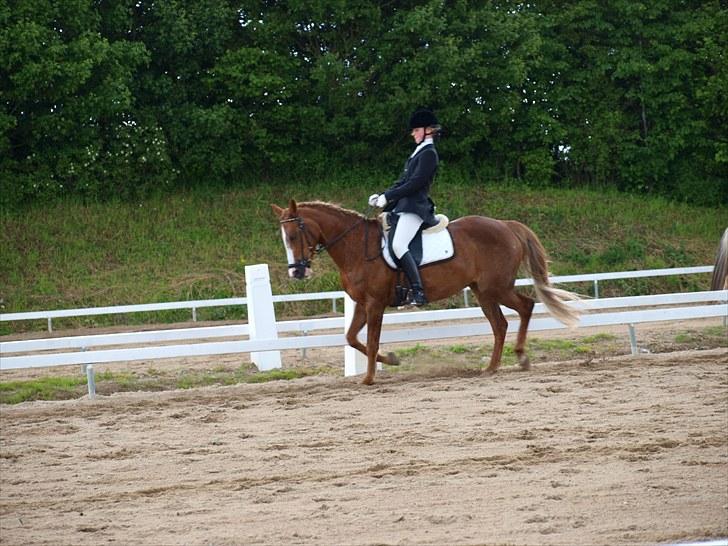 Algestrup rideklub stævne :) billede 103