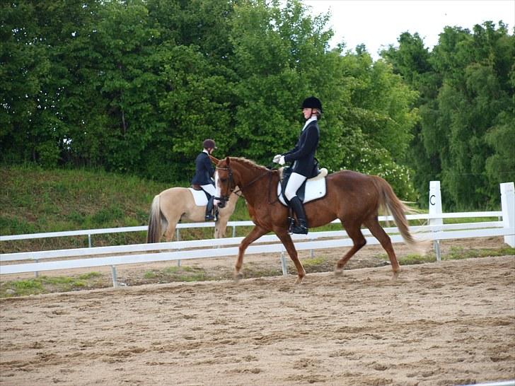 Algestrup rideklub stævne :) billede 104