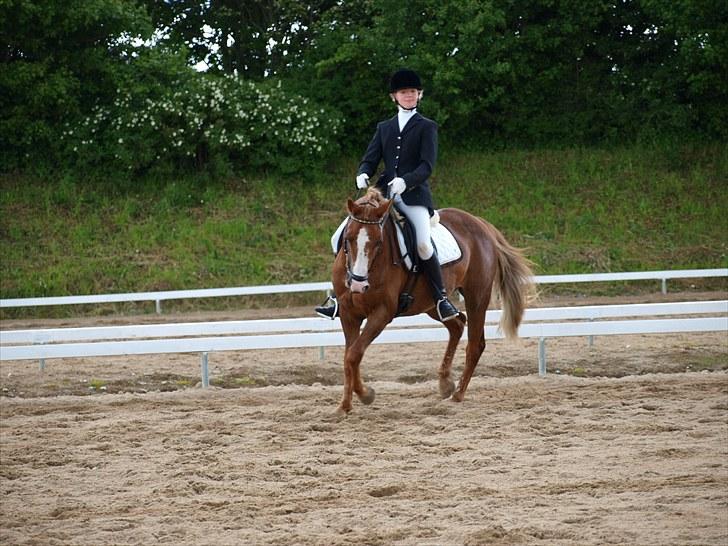 Algestrup rideklub stævne :) billede 105