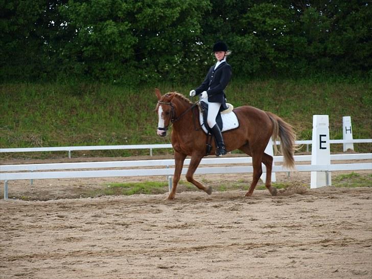 Algestrup rideklub stævne :) billede 106