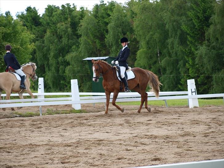 Algestrup rideklub stævne :) billede 107
