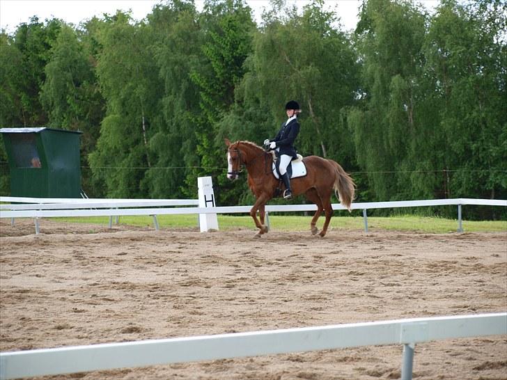 Algestrup rideklub stævne :) billede 108