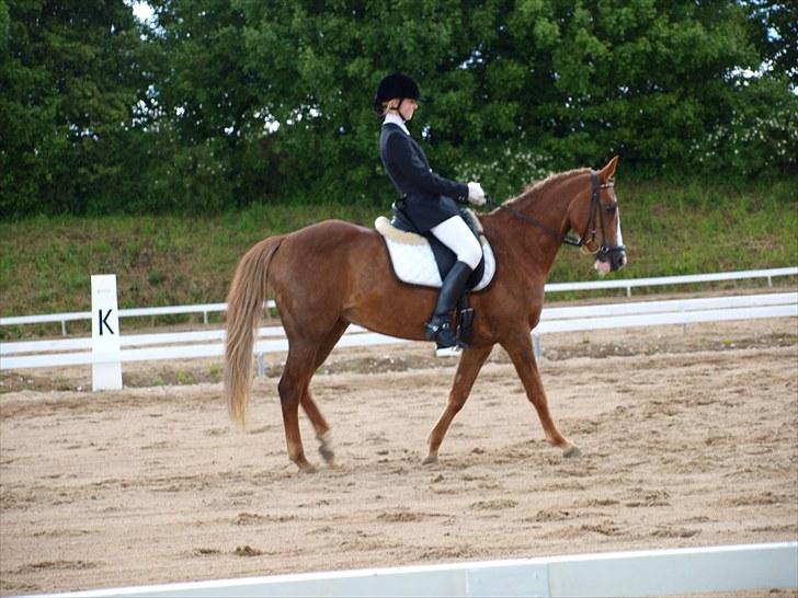 Algestrup rideklub stævne :) billede 109