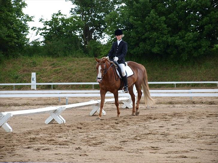 Algestrup rideklub stævne :) billede 110