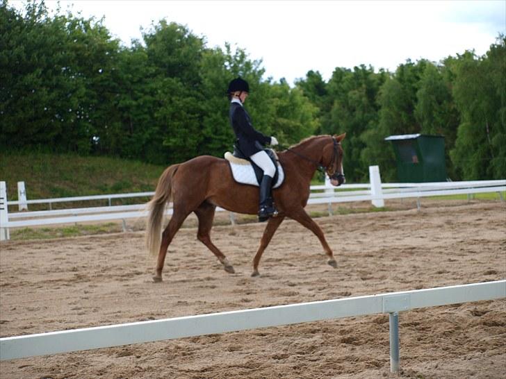 Algestrup rideklub stævne :) billede 111