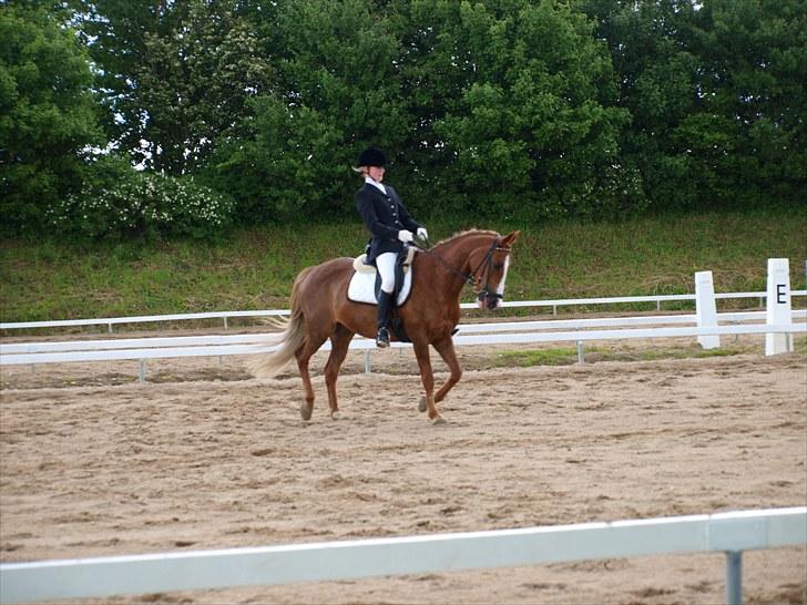 Algestrup rideklub stævne :) billede 112