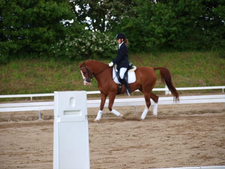 Algestrup rideklub stævne :) billede 117