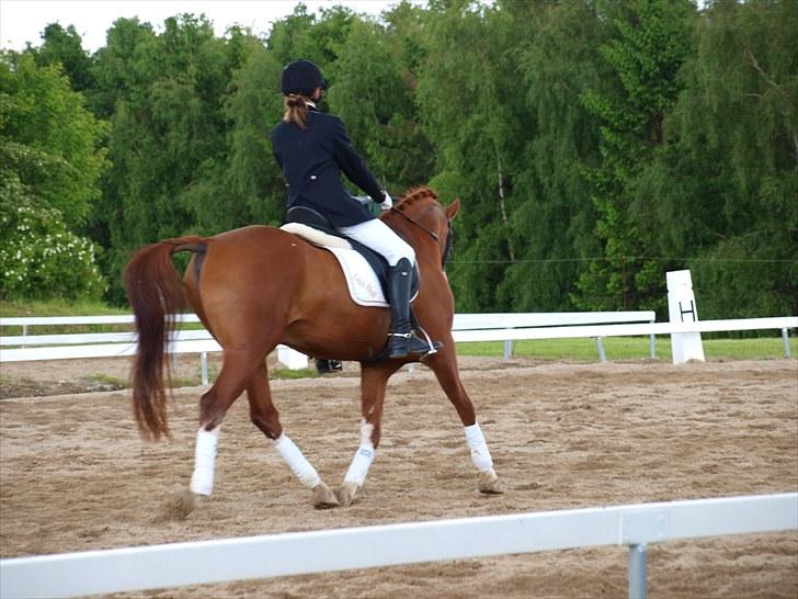 Algestrup rideklub stævne :) billede 118